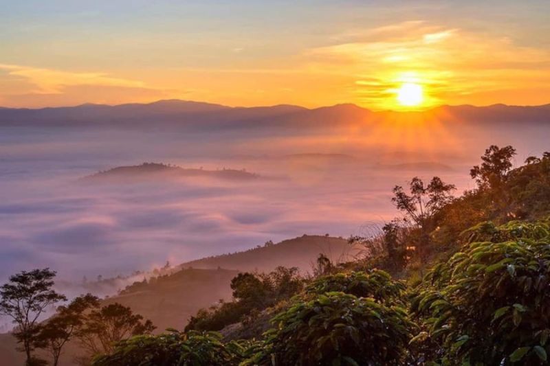 Experience in hunting clouds in Dai Binh mountain (Bao Loc) from A to Z